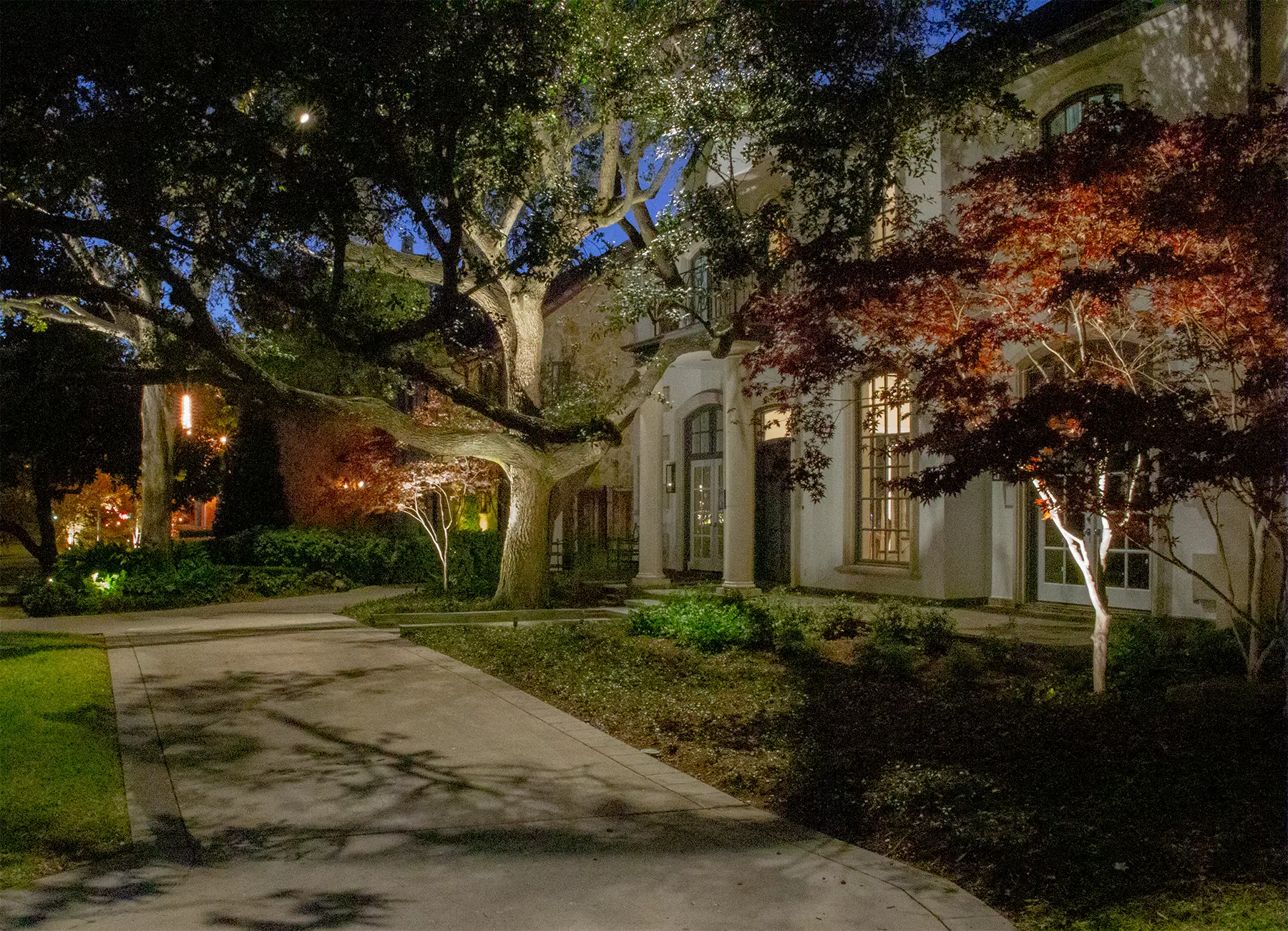 A beautifully lit pathway leads to a charming house surrounded by lush trees