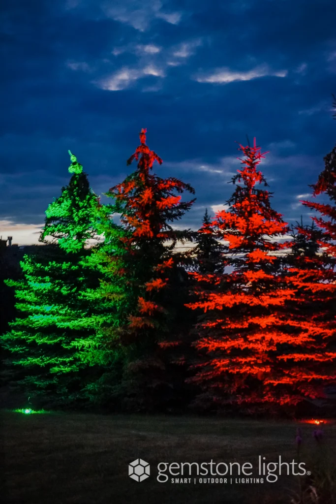 Vibrant green and red lights illuminate evergreen trees against a dramatic evening sky