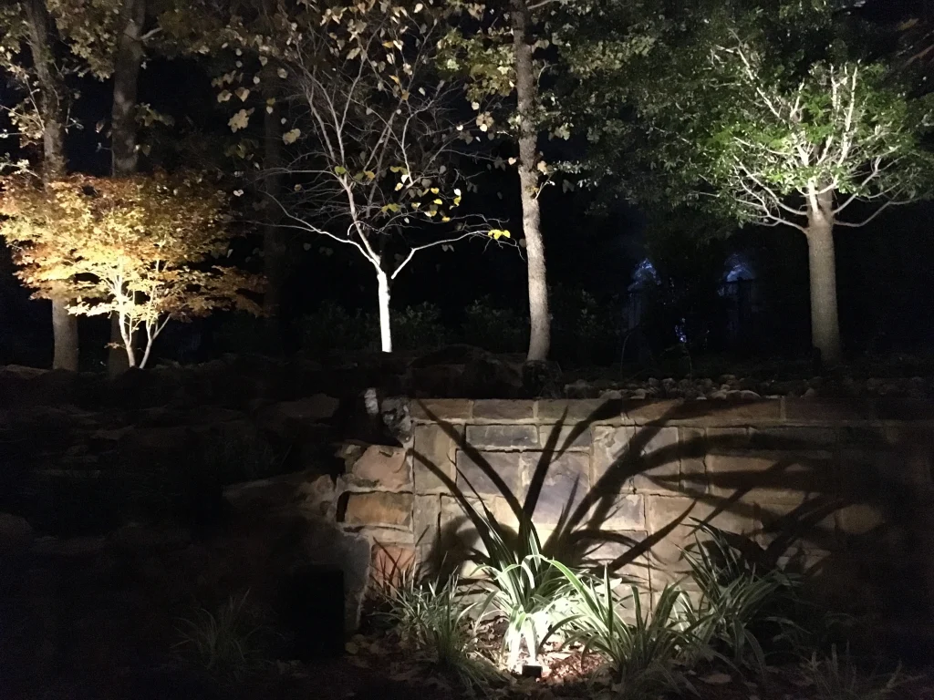 Soft shadows and illuminated foliage create a serene, nighttime garden scene