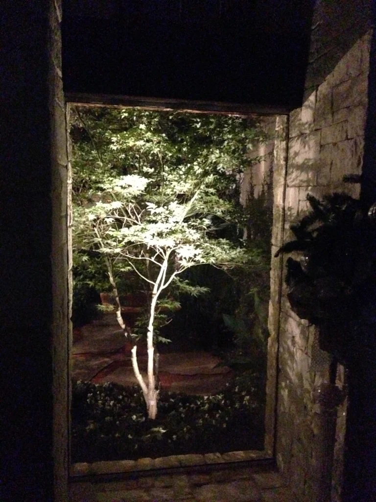 A softly lit tree is framed by a stone archway at night