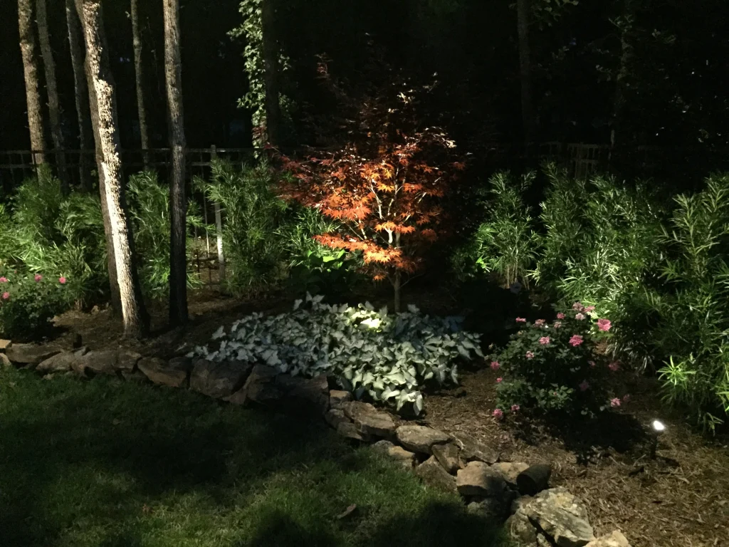 A softly lit garden features a vibrant tree surrounded by lush plants and rocks
