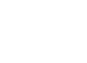 My WordPress Site