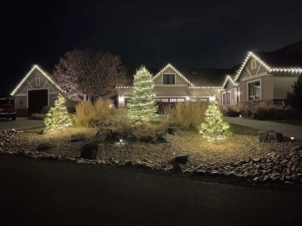 A beautifully lit house and yard are adorned with festive lights and trees at night