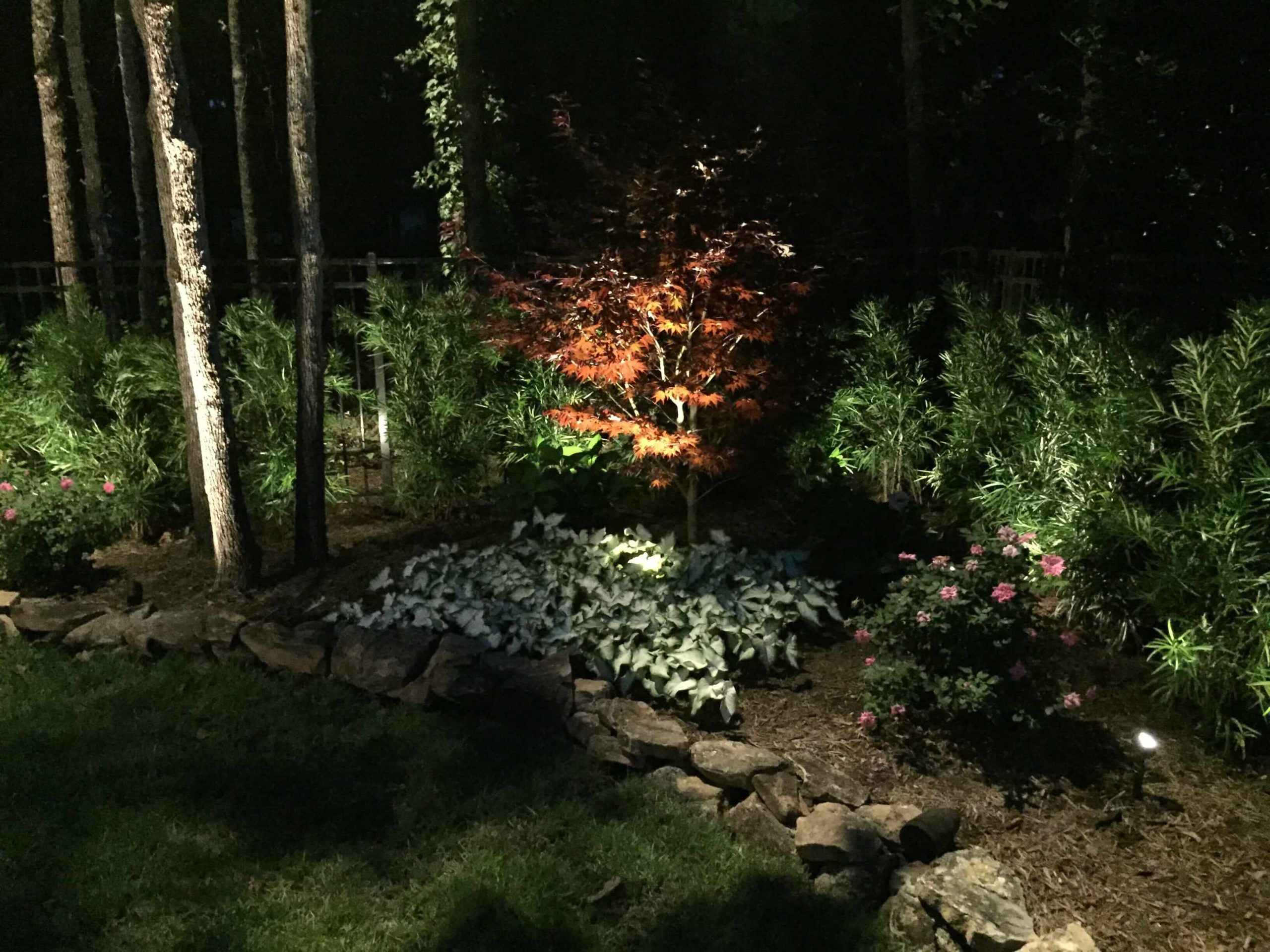 Landscape lighting evergreen, example 2