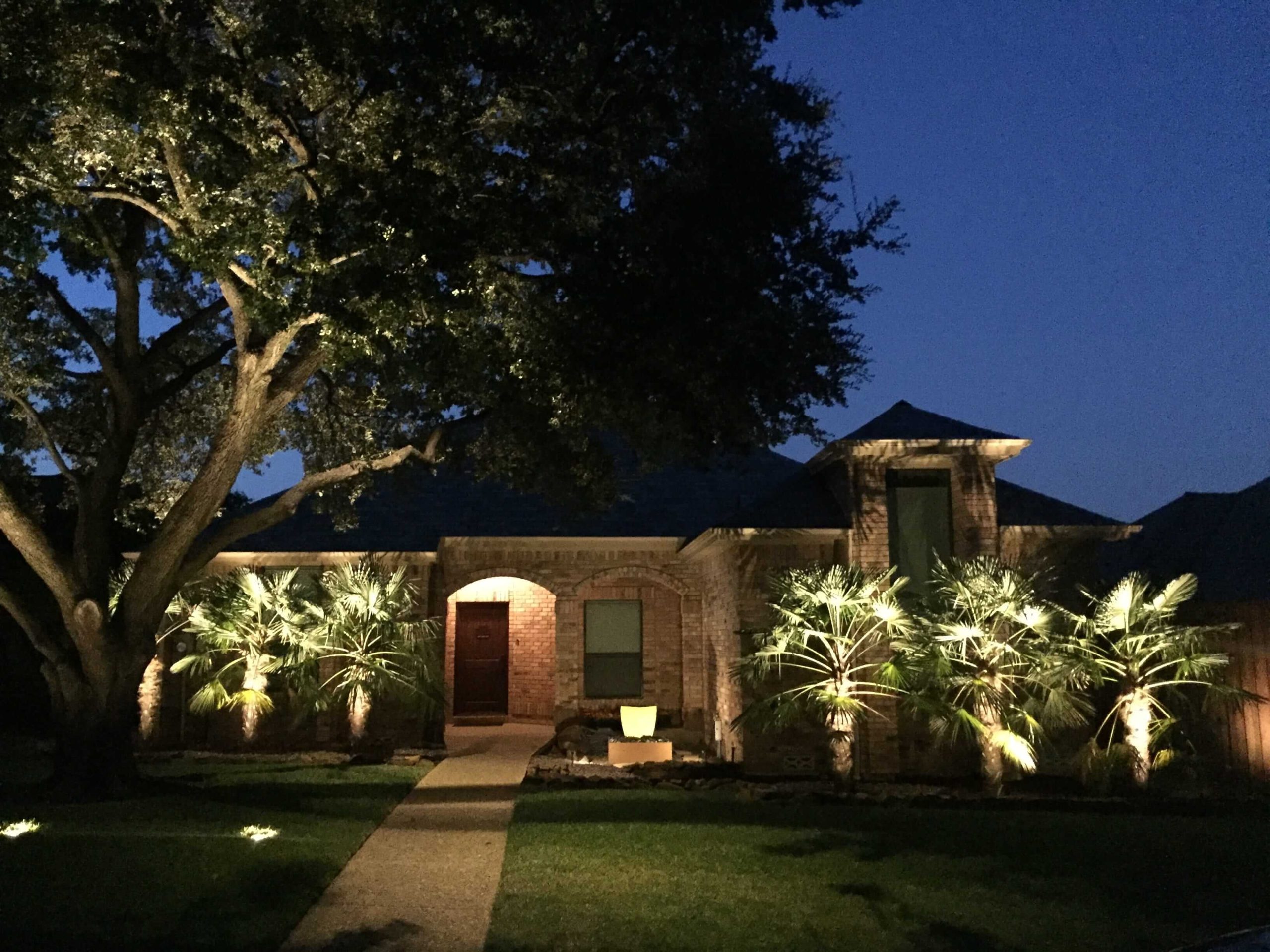 Landscape lighting evergreen, example 6