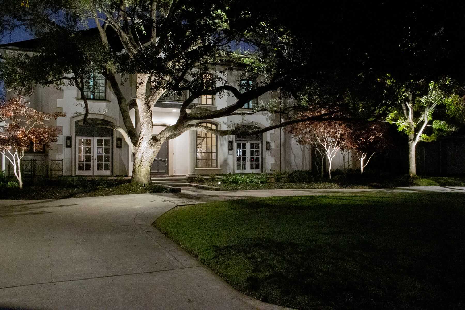 Landscape lighting evergreen, example 4